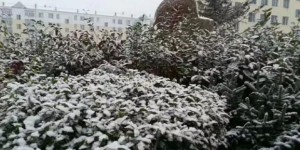 秋意浓浓雪花飘飘，你需要一辆过冬的车