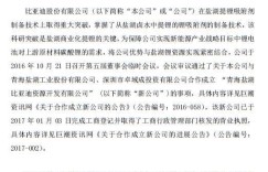 比亚迪投资2.45亿开发盐湖锂资源