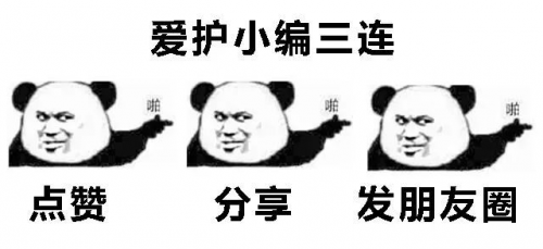 切记盲目年轻化，参考哈弗初恋就对了