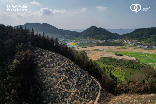 伙伴助力 爱有新益！长安汽车“共建青山计划”起航