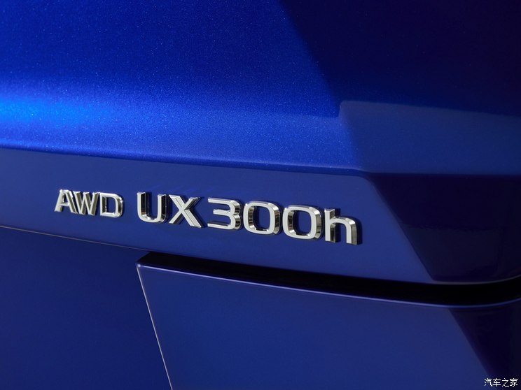 雷克萨斯 雷克萨斯UX 2025款 300h F SPORT Handling 美国版