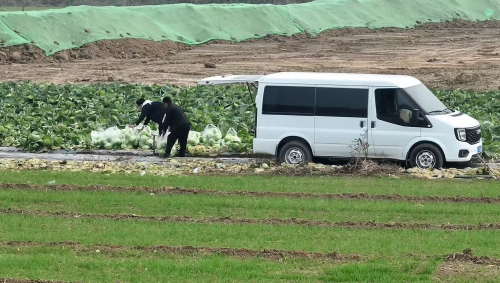 空间大动力强，中国轻客第一品牌成就河北果农的采摘生态园做大做强 ​