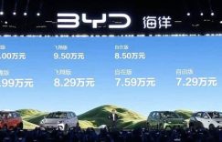 全新比亚迪海鸥